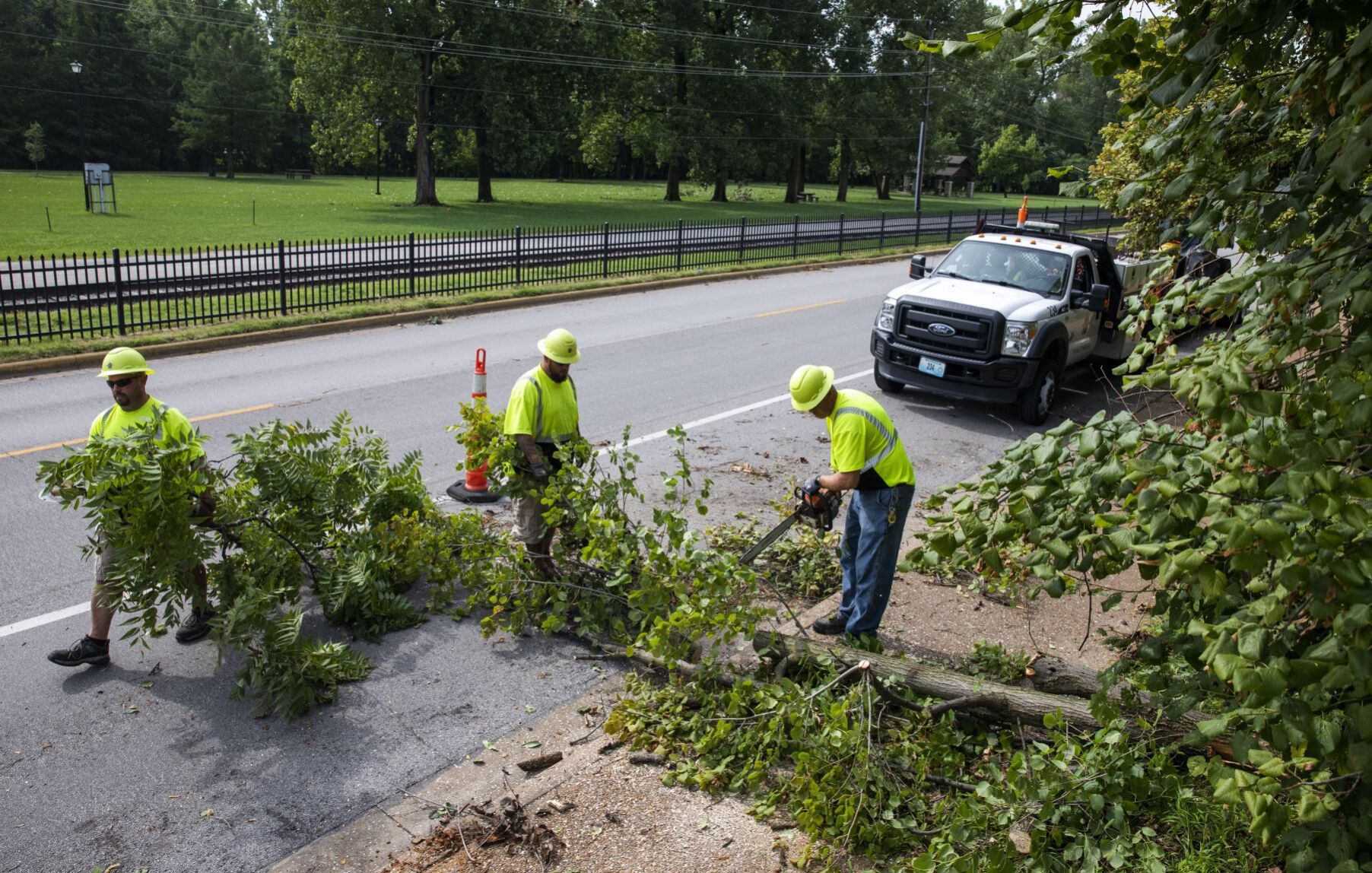 Trees damaged and toppled in St. Charles